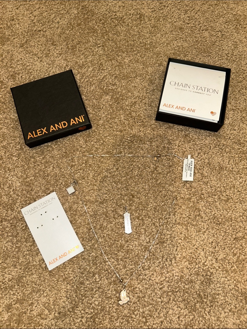 Alex and Ani Silver Layered Charm Necklace Set